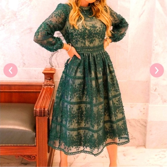 Ivy City Co Dresses & Skirts - Ivy City Sicily Dress- Champagne lining, forest green